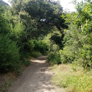 Meet your Posher, Minerva